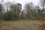 DSC04796_thumb.jpg