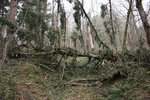 DSC04804_thumb.jpg
