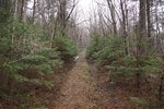 DSC04805_thumb.jpg
