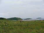 DSC03161_thumb.jpg