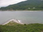 IMG_0320-1_thumb.jpg