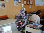 PICT0035.jpg