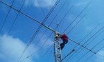 20161015_150004_thumb.jpg