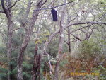 PICT0021.JPG
