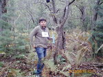 PICT0029.JPG