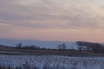 Вид с трассы.jpg (91.96 КБ) 12783 просмотра Вид с трассы.jpg