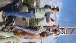 DSC04909_thumb.jpg