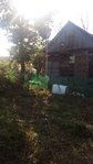 IMG-20231005-WA0012.jpg