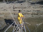 3_thumb.jpg